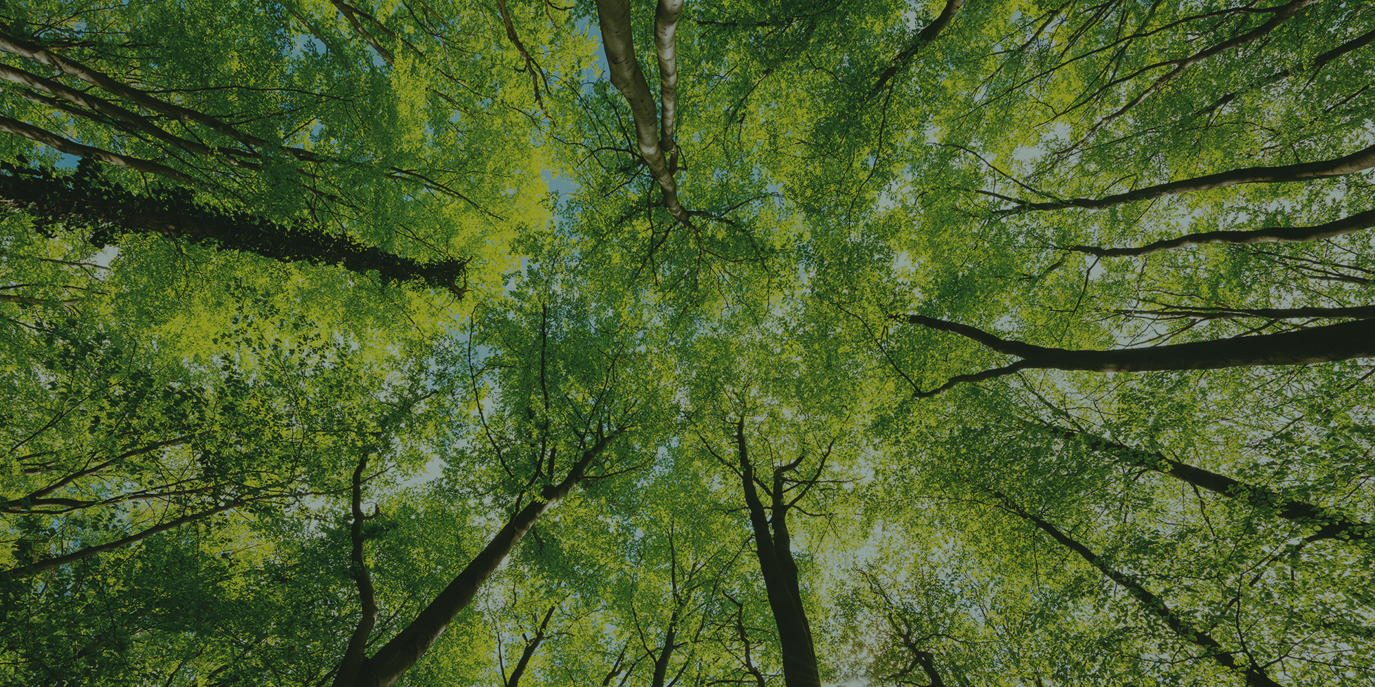 森を守り、地域を守り、未来を守る。